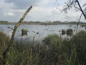 GPSwalking.nl
