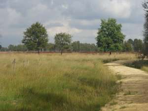 GPSwalking.nl