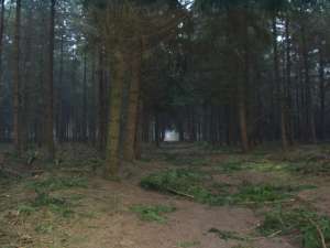 GPSwalking.nl
