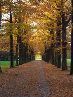 GPSwalking.nl: foto bij GPS wandeling / wandeling / wandeltocht / track / lezing / workshop/ GPS