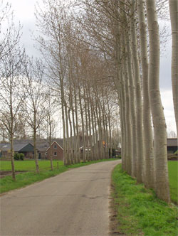 GPSwalking.nl: foto bij GPS wandeling / wandeling / wandeltocht / track / lezing / workshop/ GPS