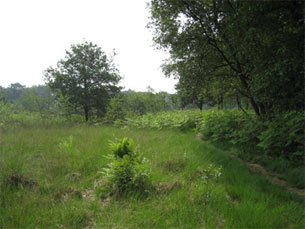 GPSwalking.nl: foto bij GPS wandeling / wandeling / wandeltocht / track / lezing / workshop/ GPS