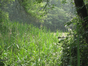 GPSwalking.nl: foto bij GPS wandeling / wandeling / wandeltocht / track / lezing / workshop/ GPS