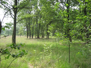 GPSwalking.nl: foto bij GPS wandeling / wandeling / wandeltocht / track / lezing / workshop/ GPS