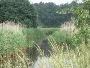 GPSwalking.nl: foto bij GPS wandeling / wandeling / wandeltocht / track / lezing / workshop/ GPS