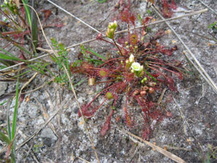 GPSwalking.nl: foto bij GPS wandeling / wandeling / wandeltocht / track / lezing / workshop/ GPS