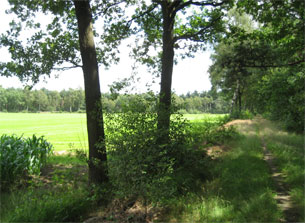 GPSwalking.nl: foto bij GPS wandeling / wandeling / wandeltocht / track / lezing / workshop/ GPS