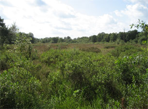 GPSwalking.nl: foto bij GPS wandeling / wandeling / wandeltocht / track / lezing / workshop/ GPS