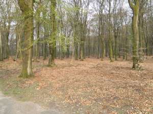 GPSwalking.nl