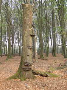 GPSwalking.nl