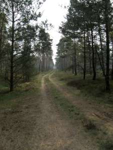 GPSwalking.nl
