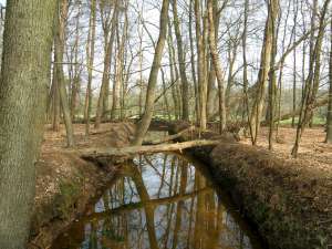 GPSwalking.nl
