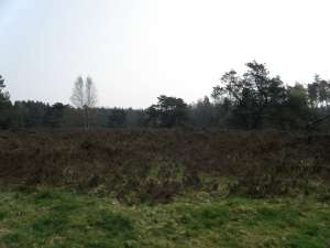 GPSwalking.nl