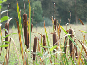 GPSwalking.nl: foto bij GPS wandeling / wandeling / wandeltocht / track / lezing / workshop/ GPS
