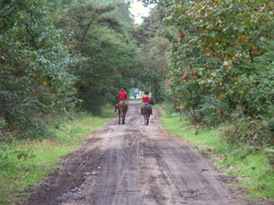 GPSwalking.nl: foto bij GPS wandeling / wandeling / wandeltocht / track / lezing / workshop/ GPS