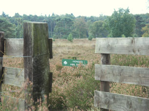 GPSwalking.nl: foto bij GPS wandeling / wandeling / wandeltocht / track / lezing / workshop/ GPS