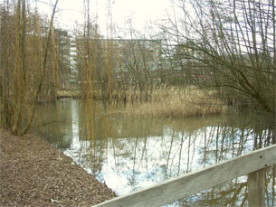 GPSwalking.nl: foto bij GPS wandeling / wandeling / wandeltocht / track / lezing / workshop/ GPS