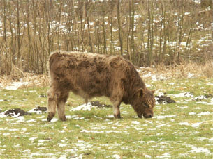 GPSwalking.nl: foto bij GPS wandeling / wandeling / wandeltocht / track / lezing / workshop/ GPS