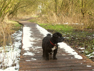 GPSwalking.nl: foto bij GPS wandeling / wandeling / wandeltocht / track / lezing / workshop/ GPS