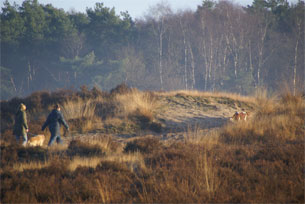 GPSwalking.nl: foto bij GPS wandeling / wandeling / wandeltocht / track / lezing / workshop/ GPS