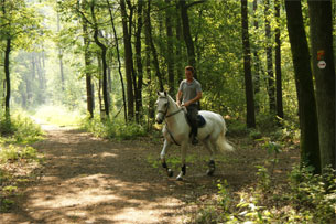 GPSwalking.nl: foto bij GPS wandeling / wandeling / wandeltocht / track / lezing / workshop/ GPS