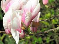 IMG 0237 Meer GPS wandelingen kunt u vinden op  www.gpswalking.nl