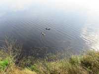 IMG 0282 Meer GPS wandelingen kunt u vinden op  www.gpswalking.nl