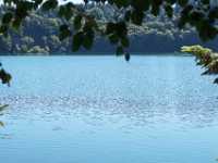 DSC04799 Meer GPS wandelingen kunt u vinden op  www.gpswalking.nl