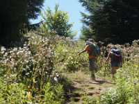DSC04802 Meer GPS wandelingen kunt u vinden op  www.gpswalking.nl