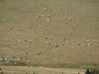 DSC04808 Meer GPS wandelingen kunt u vinden op  www.gpswalking.nl