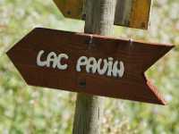 DSC04813 Meer GPS wandelingen kunt u vinden op  www.gpswalking.nl