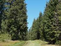 DSC04816 Meer GPS wandelingen kunt u vinden op  www.gpswalking.nl