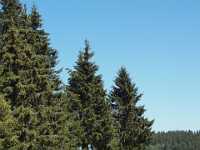 DSC04821 Meer GPS wandelingen kunt u vinden op  www.gpswalking.nl