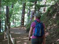 DSC04831 Meer GPS wandelingen kunt u vinden op  www.gpswalking.nl