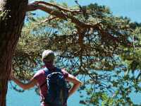 DSC04833 Meer GPS wandelingen kunt u vinden op  www.gpswalking.nl