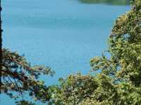 DSC04834 Meer GPS wandelingen kunt u vinden op  www.gpswalking.nl