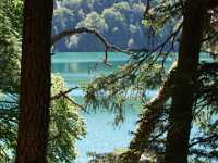 DSC04836 Meer GPS wandelingen kunt u vinden op  www.gpswalking.nl